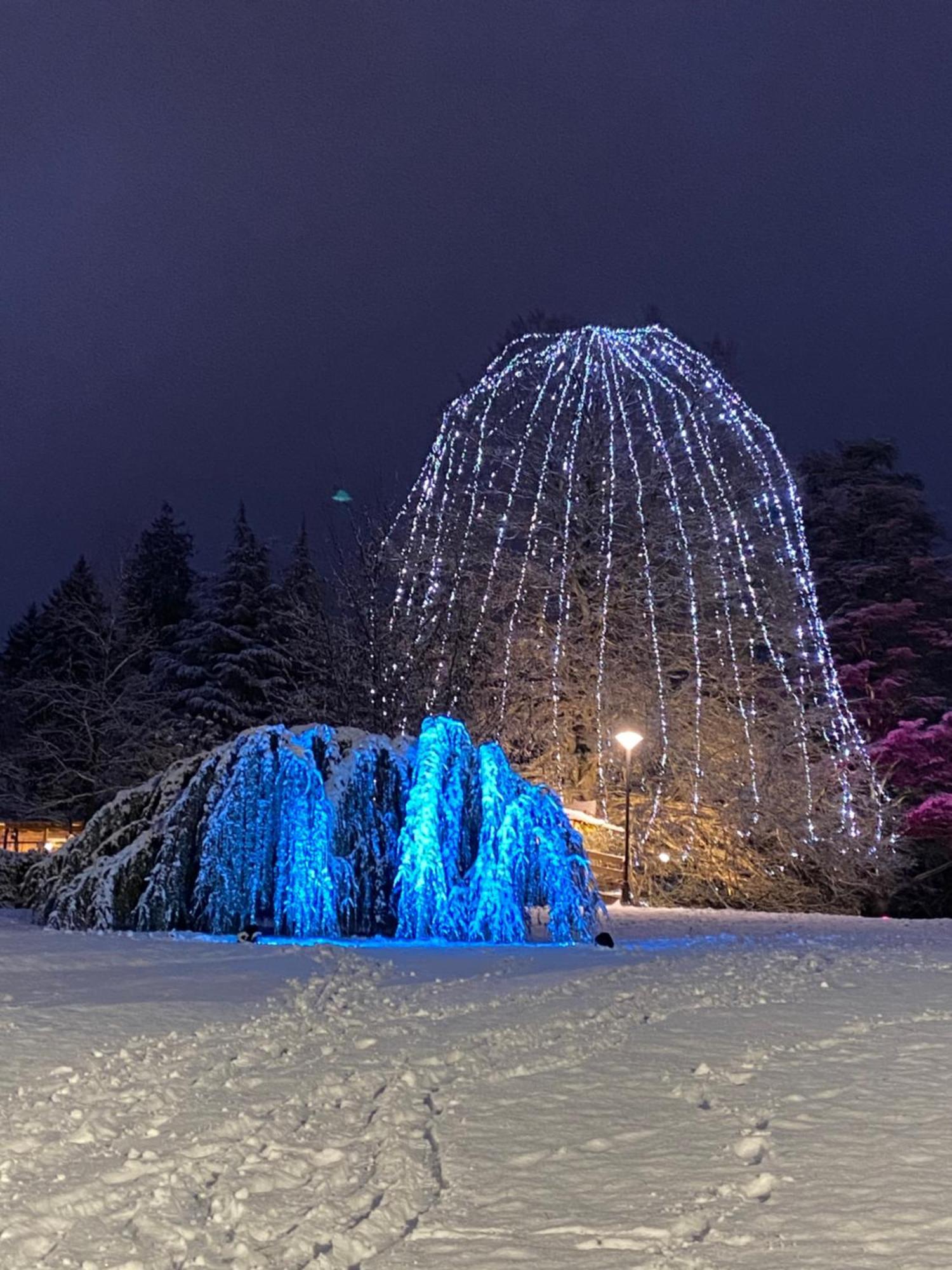 Casa Bosco Lägenhet Levico Terme Exteriör bild