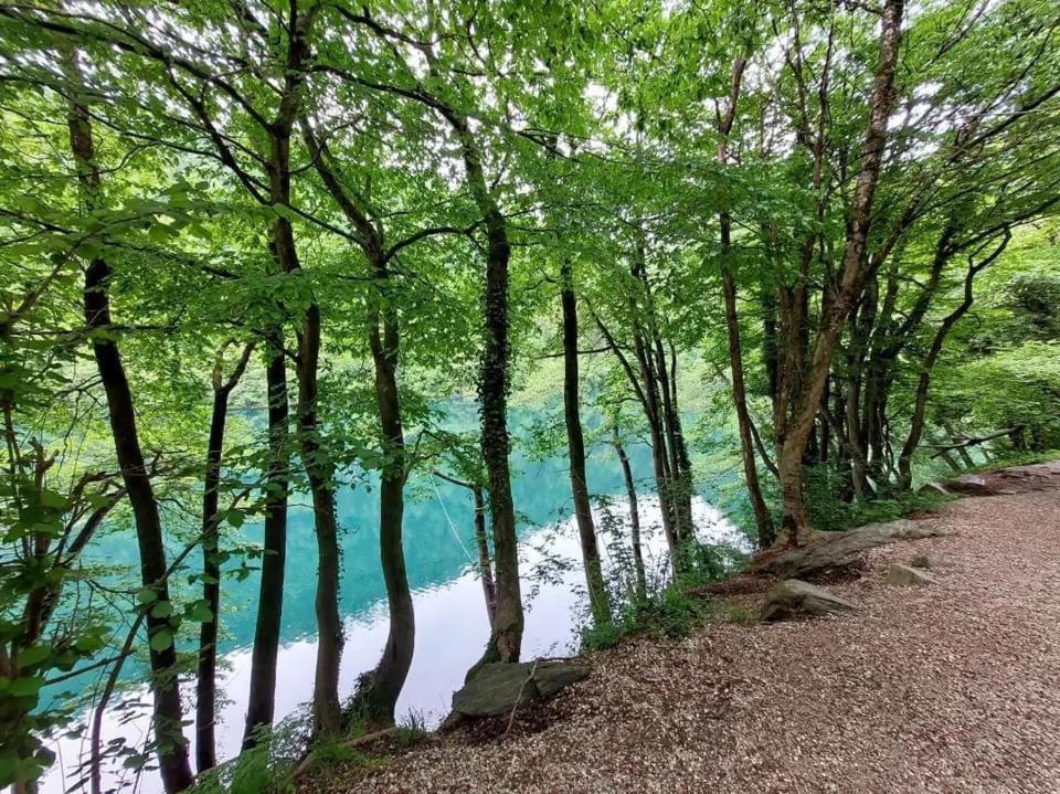 Casa Bosco Lägenhet Levico Terme Exteriör bild