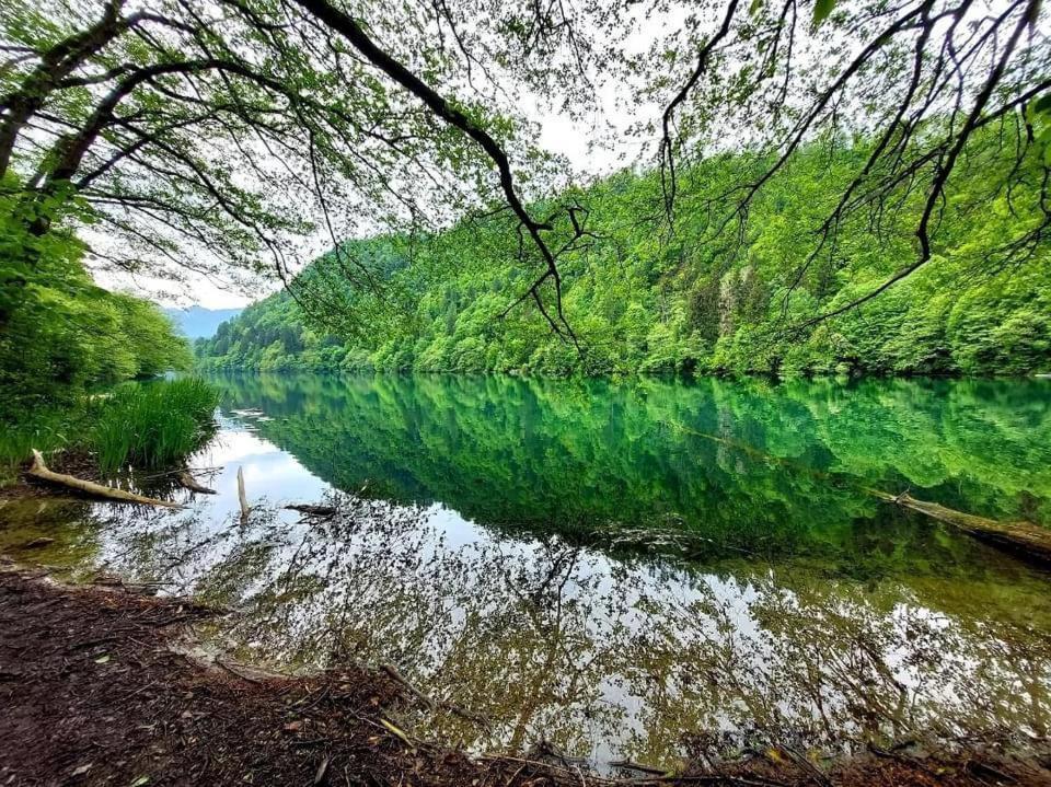 Casa Bosco Lägenhet Levico Terme Exteriör bild