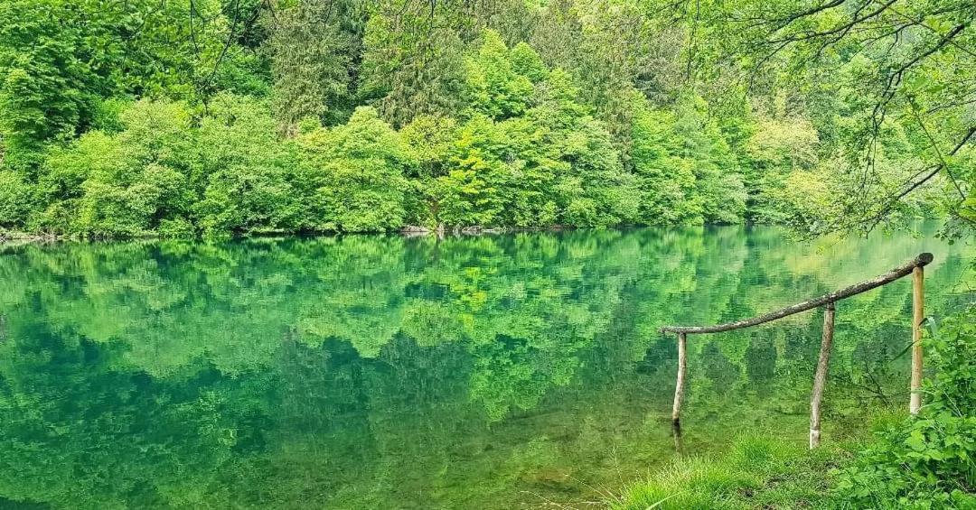 Casa Bosco Lägenhet Levico Terme Exteriör bild